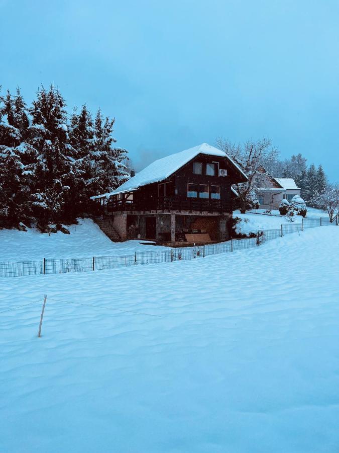 Chalet Pjagodic Cerklje na Gorenjskem Esterno foto